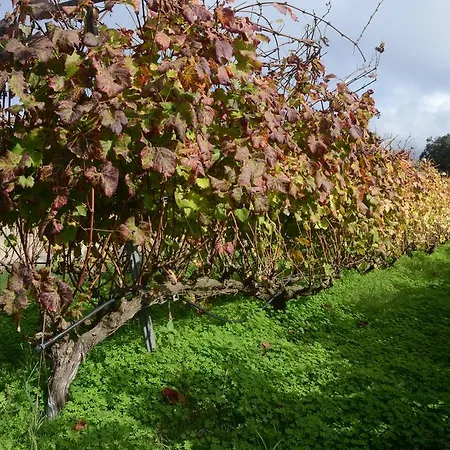 Casa Rural El Adelantado Летний дом