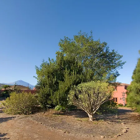 Casa Rural El Adelantado Летний дом *