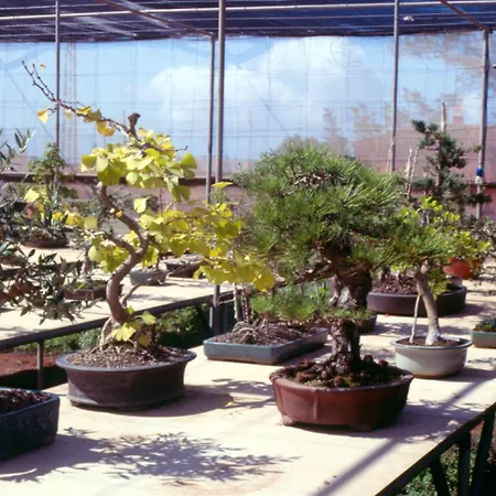 El Adelantado منزل ريفي *