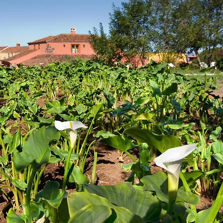 Casa rural El Adelantado