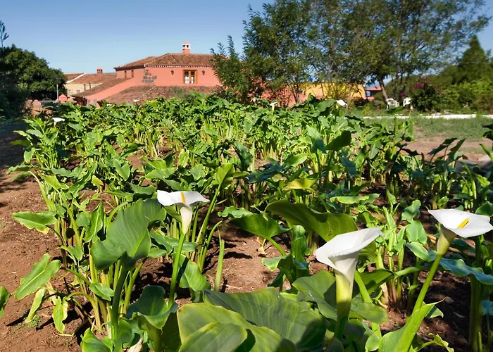 Hétvégi ház El Adelantado
