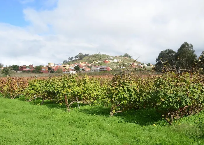 El Adelantado Séjour à la campagne Tacoronte
