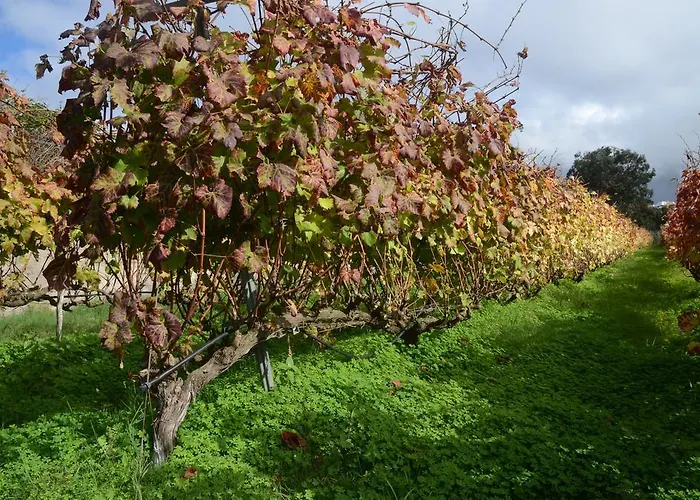El Adelantado Séjour à la campagne