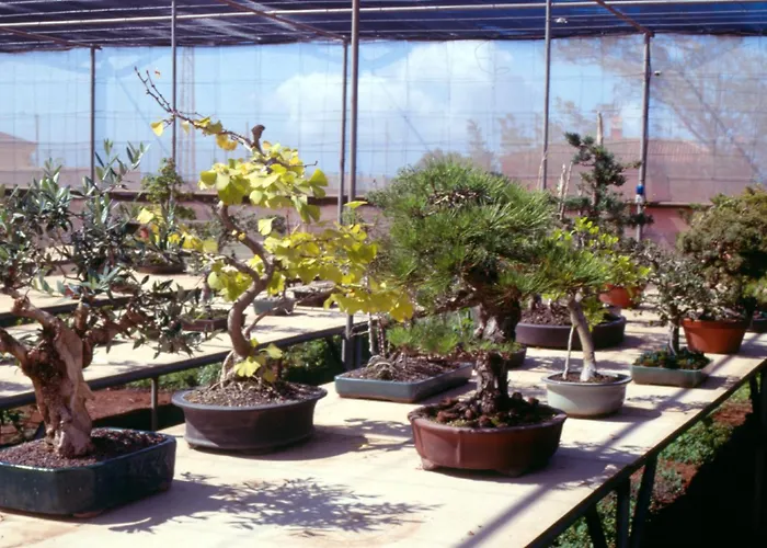 El Adelantado Séjour à la campagne *