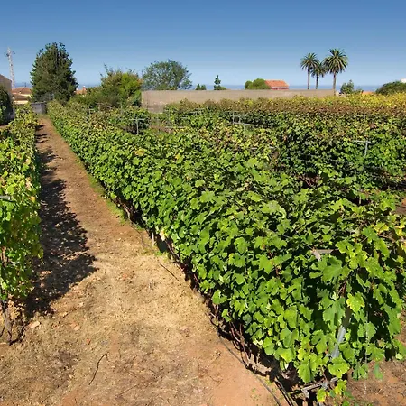 Casa di campagna El Adelantado Tacoronte